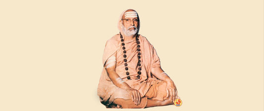 Sri Abhinava Vidyatirtha Mahaswamiji