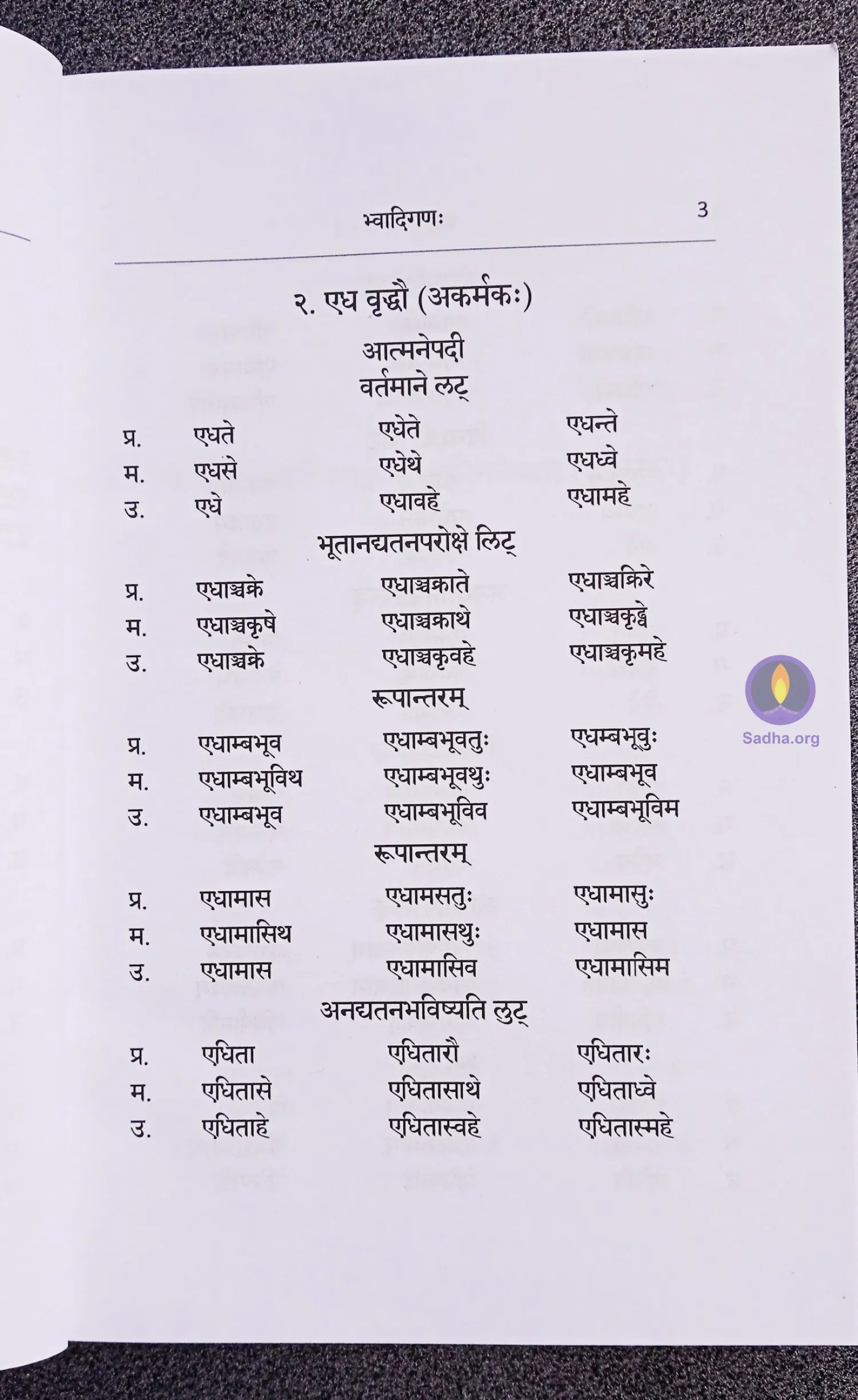 Dhatu Chandrika - 1 Book